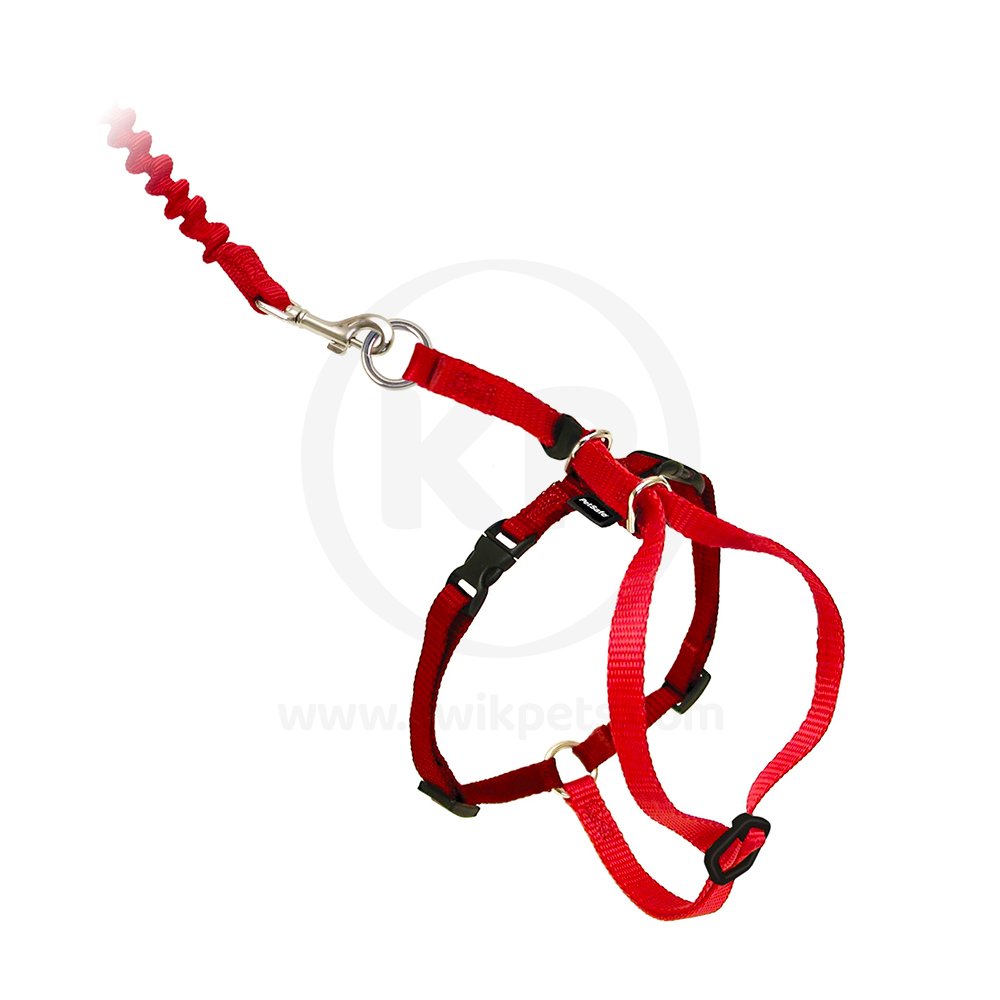 PetSafe Premier Come With Me Kitty Harness & Bungee Leash Combo Red/Cranberry Medium