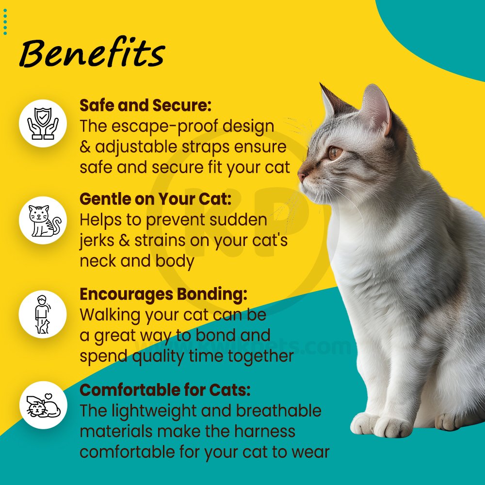 PetSafe Premier Come With Me Kitty Harness & Bungee Leash Combo Royal Blue/Navy Large