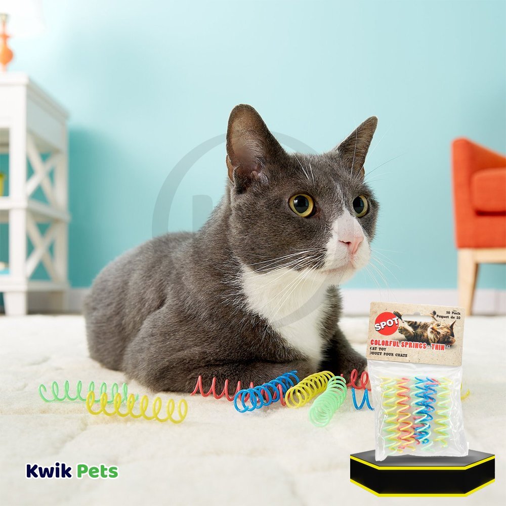 Spot Thin Colorful Springs Cat Toy Assorted 10 Count 3-in
