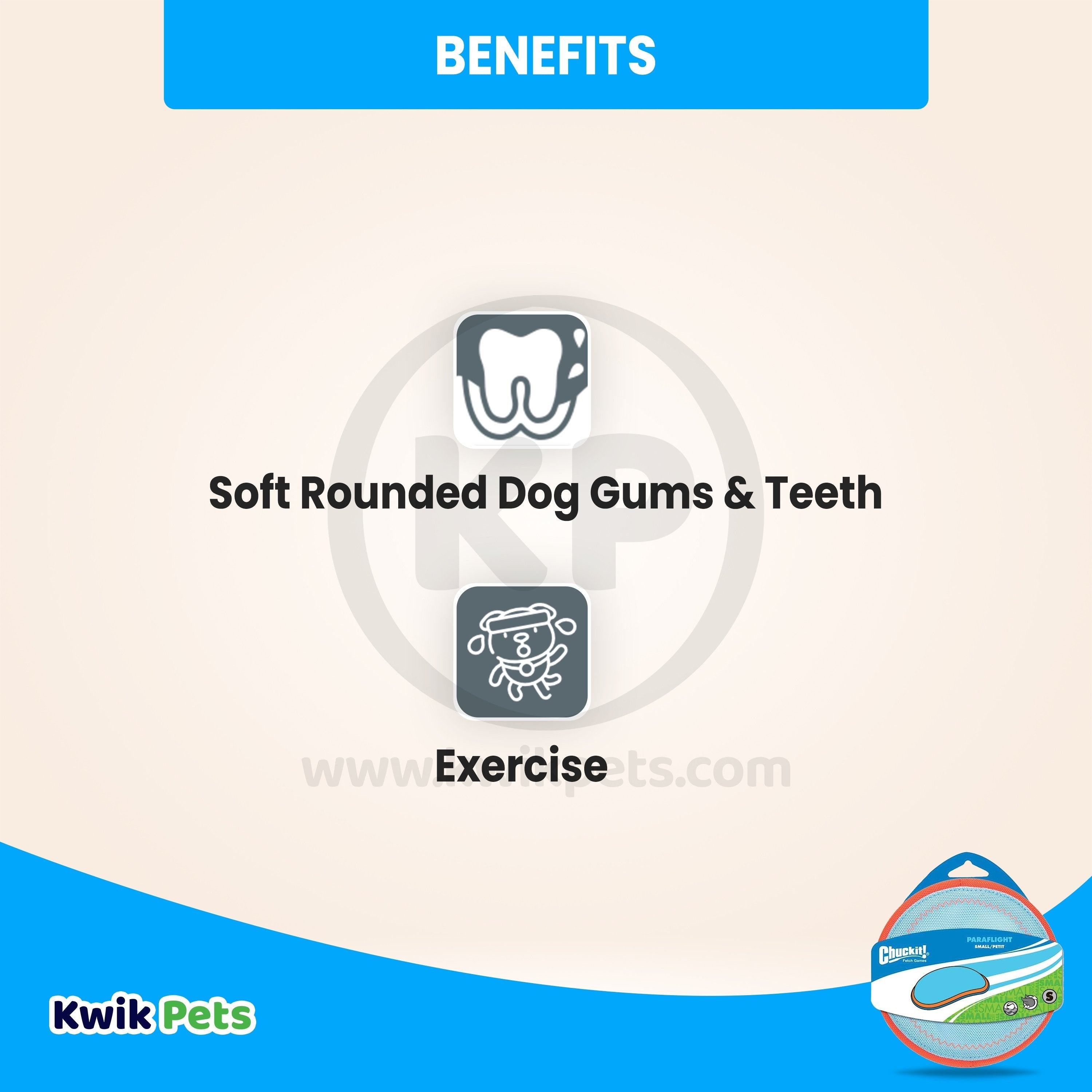 Chuckit! Paraflight Dog Toy Small