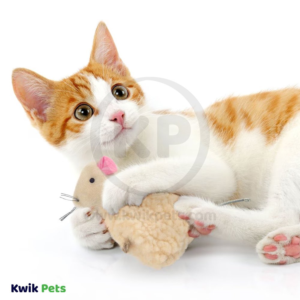 SmartyKat Madcap Mouse Refillable with Catnip Tube Cat Toy Assorted