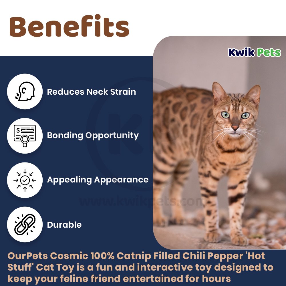 OurPets Cosmic 100% Catnip Filled Chili Pepper 'Hot Stuff' Cat Toy Red & Green