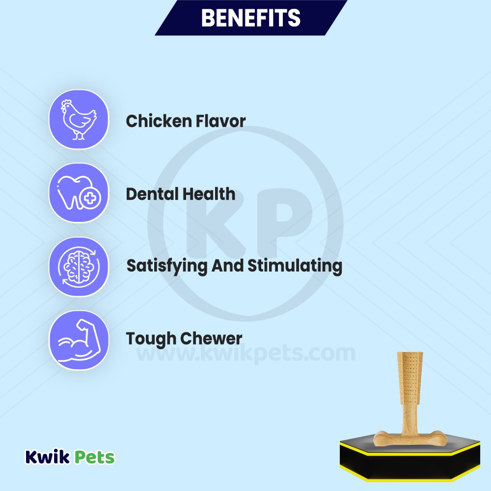 Spot Bam-Bone Plus Dog Chew Chicken Small  4-in