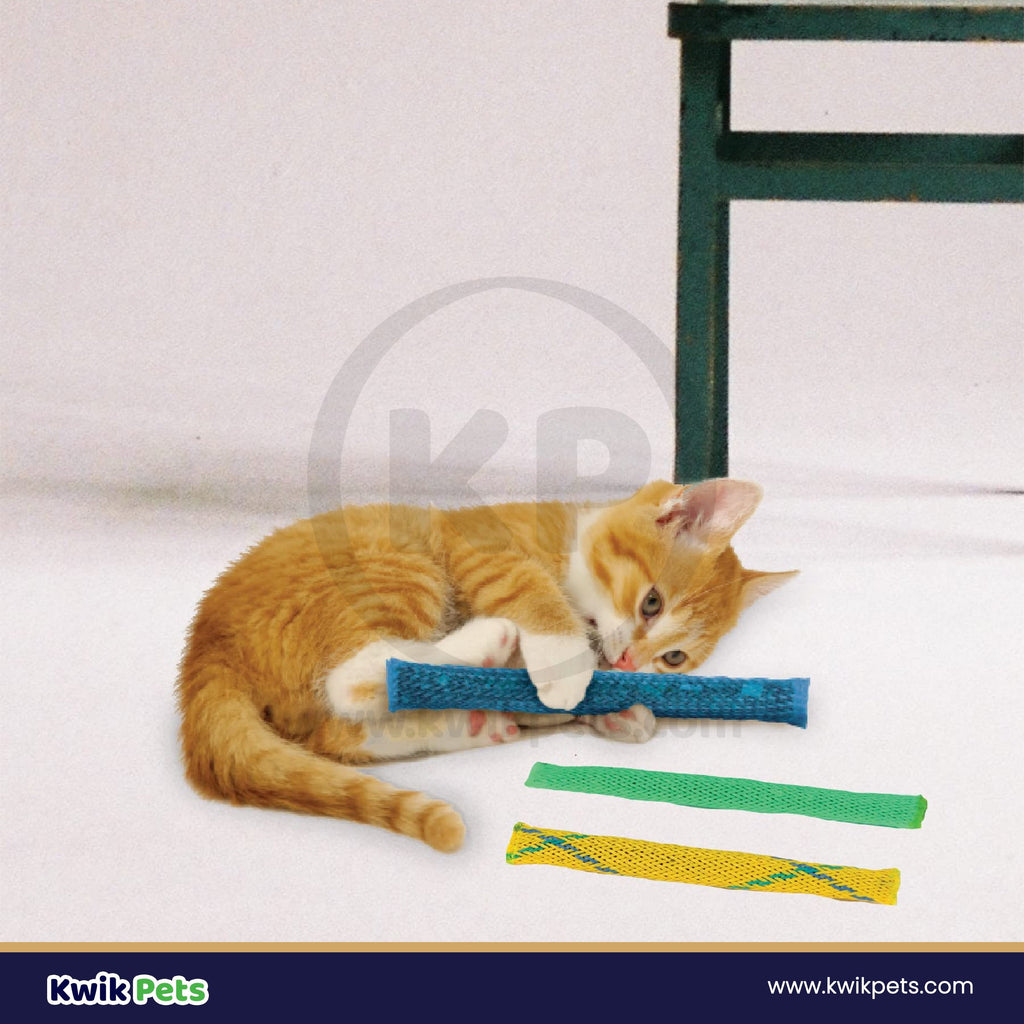 Pioneer Pet Nip Nibbler Catnip Cat Toy 3 Count