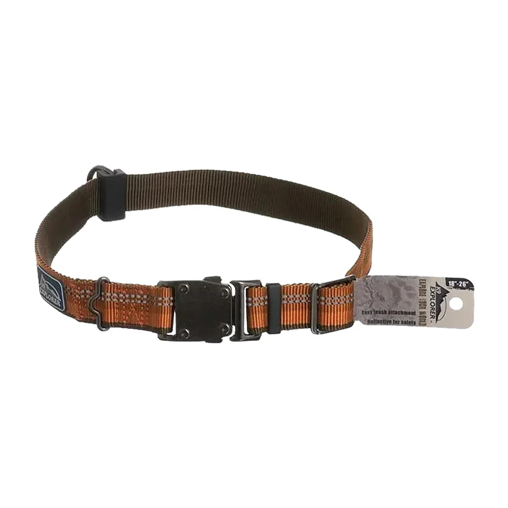 Coastal K9 Explorer Reflective Adjustable Dog Collar Campfire Orange 1 in X 12-18 in