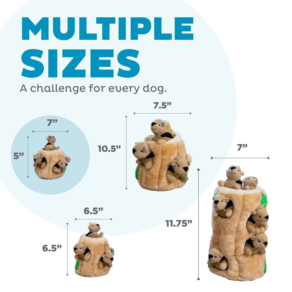 Outward Hound Hide-A-Squirrel Dog Toy Small